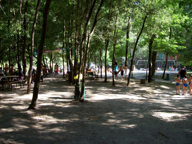  Image name: Parco003.jpg 
 width: 801 pixel 
 height: 601 pixel 
 Size: 542280 bytes 
 Click to enlarge 